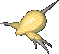 약한놈2