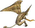 마가