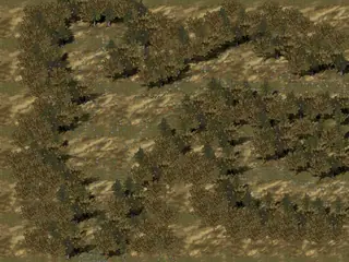 map0007