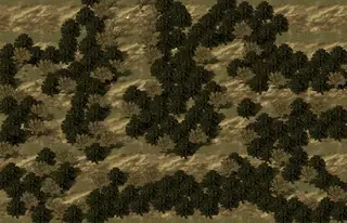 map0306