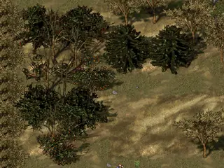 tree_test